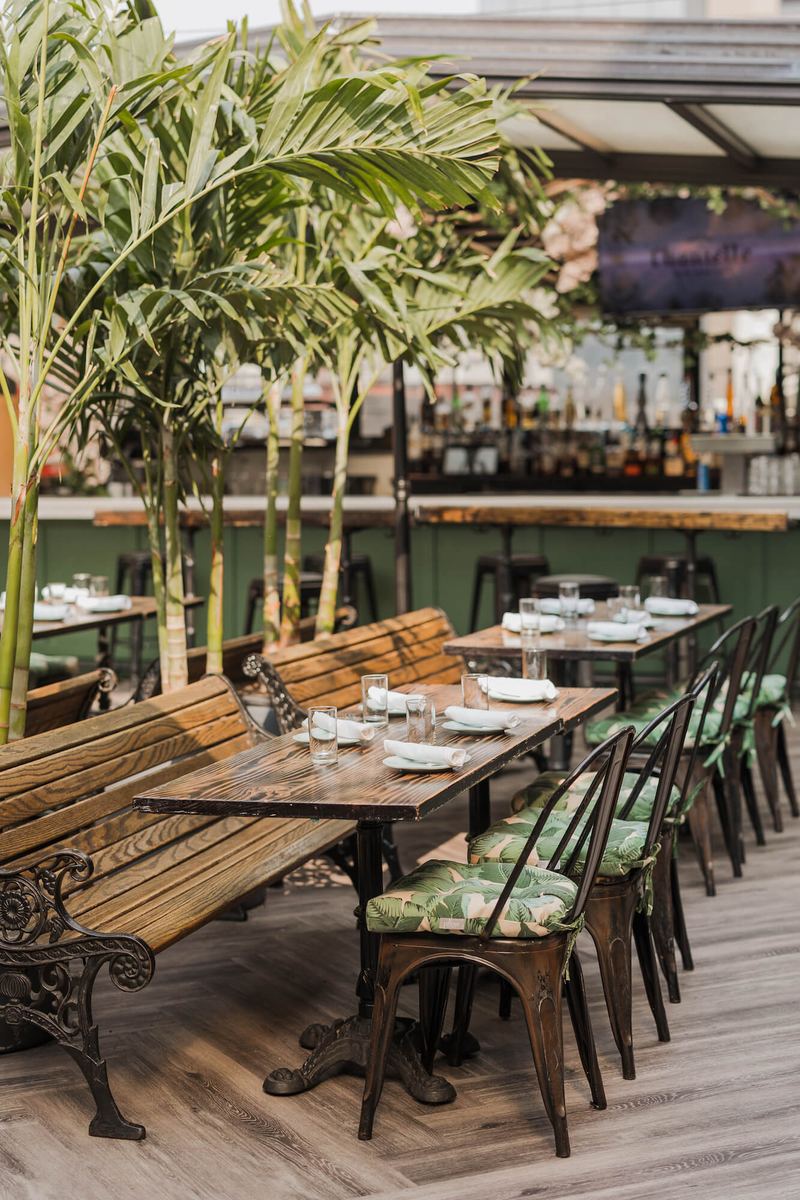 Park-bench seating and palms under the glass roof