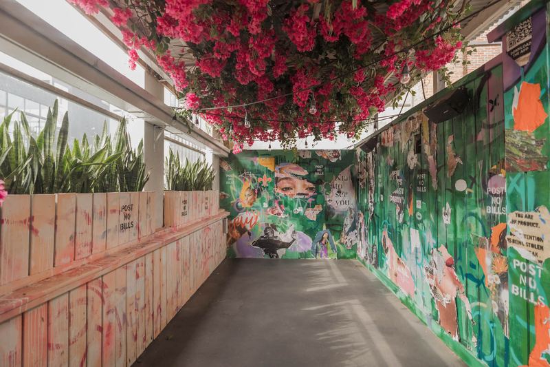 Rooftop corridor under hanging flowers with a painted mural