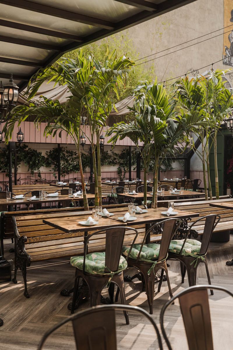 Rooftop seating among the palms